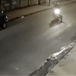 Casal é derrubado de moto por cachorro que corria atrás de gato em MG; vídeo