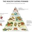 Harvard tem uma pirâmide alimentar que é a "bíblia" do que é uma alimentação saudável