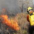 Mato Grosso lidera o ranking estadual de queimadas