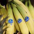 Por que condenação de gigante das bananas é histórica