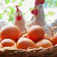 Você sabe quais os benefícios do ovo caipira? Descubra aqui!