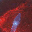 Destaque da NASA: brilhante Nebulosa da Lula é foto astronômica do dia