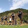 Botafogo promove troca nos gramados do Espaço Lonier