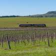 Passeio de trem conecta Rio Grande do Sul e Uruguai