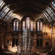 Museu de História Natural em Londres tem tour sobre mulheres da ciência