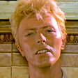 O "fantasma" de David Bowie que ronda pelo Caribe