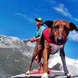 Morre aos 17 anos Parafina, cão surfista de Santos (SP)