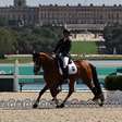 Abelha tira Brasil do pódio do hipismo; veja destaques do dia e o quadro de medalhas