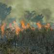 STF libera verba para combate a incêndios na Amazônia e Pantanal