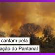 Artistas cantam pela preservação em 'Oh, Pantanal': assista