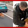 Motoristas chilenos se organizam para salvar cachorro de atropelamento
