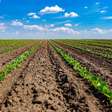 Lavouras do BR usam 10 práticas de agricultura regenerativa