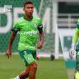 Palmeiras encaminha renovação com dupla de veteranos