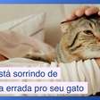 Você está sorrindo da maneira errada para o seu gato