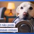 Coisas que seu pet não pode comer (e você está dando pra ele mesmo assim)