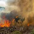 COP-29: Especialistas classificam nova meta climática do Brasil como pouco ambiciosa