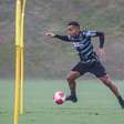 Em fim de contrato com o Botafogo, volante Breno fica livre e avalia destinos