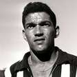 Botafogo no Mundial: 7 motivos para conhecer um clássico sobre Garrincha
