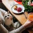Pets na ceia de Natal: saiba quais alimentos fazem mal para eles