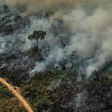 Alertas de desmatamento na Amazônia alcançam o menor valor histórico para fevereiro, segundo Inpe