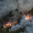 Amazônia bate recorde de queimadas em 2024; Pará registra maior focos de incêndio