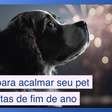 Veterinária dá dicas para acalmar seu pet nas festas de fim de ano