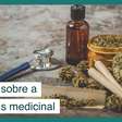 5 mitos que ainda existem sobre a cannabis medicinal