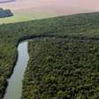 Lei aprovadabet365 aviãozinhoMato Grosso quer converter Amazôniabet365 aviãozinhoCerrado; entenda