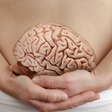 "Segundo cérebro": O que a ciência já sabe sobre a importância do intestino na saúde da mente