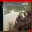 Rapper morre afogado após tentar salvar cachorra que caiu em lago em Cotia (SP)