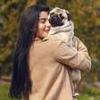Pug: pequeno companheiro, mas de grande personalidade