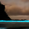Mar em Ubatuba surpreende banhistas com 'ondas fluorescentes'; veja vídeo