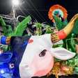 Campeã da Série Bronze do Carnaval 2025, União do Parque Curicica sobe para Série Prata