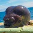 Peixe 'alienígena' encontrado por pescador na Rússia viraliza na web