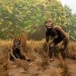 Estudo sobre como ancestrais dos seres humanos corriam mostra que eles eram surpreendentemente lentos