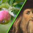 Newton escreveu as leis fundamentais da física, mas quando chegou encontrou a mensagem "Leonardo esteve aqui"