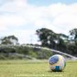 Paysandu intensifica preparação para Copa Verde e busca reforços no mercado da Bola