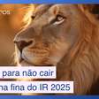 5 dicas para não cair na malha fina do Imposto de Renda
