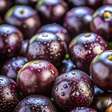 Site elege a brasileira jabuticaba como a 10ª melhor fruta do mundo; veja ranking