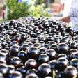 Melhores frutas do mundo: lista tem 3 brasileiras, duas no Top10