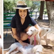 Letícia Sabatella vai entrar na Justiça por cães supostamente adotados sem permissão; abrigo se pronuncia