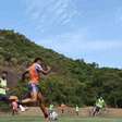 Botafogo x Novorizontino: onde assistir e escalações