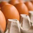 Ovo domina a dieta de 30% dos brasileiros; alta preocupa com dificuldade de substituição por carnes