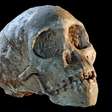 O menino de Taung, o fóssil que mudou a história ao provar que os humanos se originaram na África