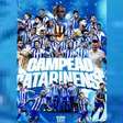 Conheça todos os campeões do Catarinense