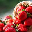 Dieta anti-inflamatória: alimentos poderosos para o seu organismo