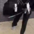 Mulher afoga cachorro em banheiro de aeroporto após ser impedida de levá-lo em voo internacional