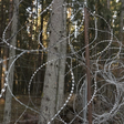A floresta onde centenas de imigrantes arriscam suas vidas tentando entrar na Europa