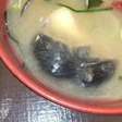 Rato é encontrado em sopa de restaurante famoso no Japão