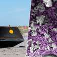 Todas as bases de DNA e 14 dos 20 aminoácidos: NASA encontrou moléculas ligadas à vida em amostras de Bennu